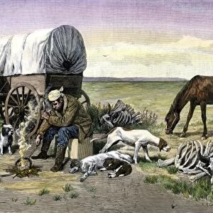 Lonely covered wagon camp on the prairie