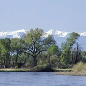 Madison River near its junction to form the Missouri River, Montana