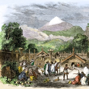 Maori village in New Zealand, 1800s