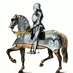 Medieval knight and his horse