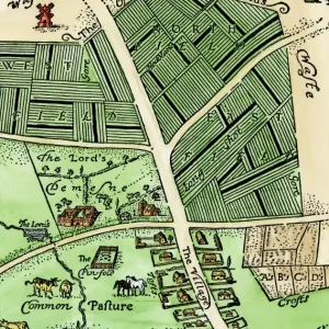 Medieval manor and fields