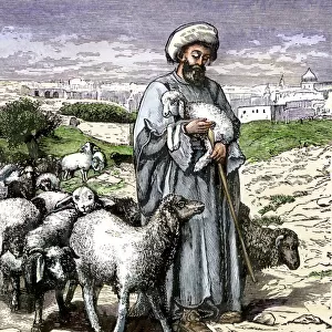Mideastern shepherd