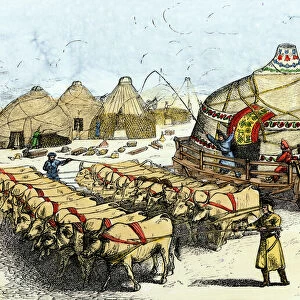 Mongol nomads moving camp