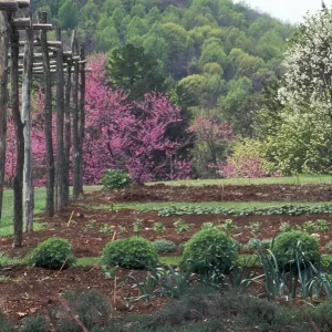Monticello vegetable garden Monticello vegetable garden