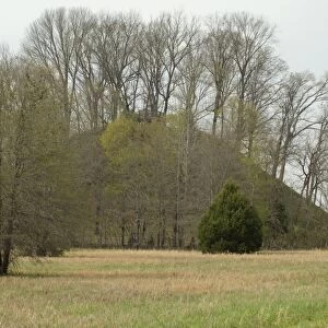 Moundbuilders site in Tennessee