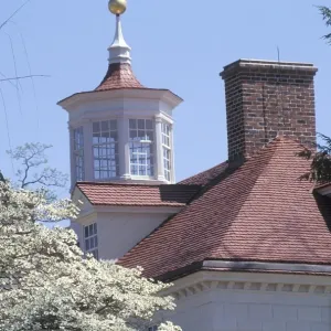 Mount Vernon rooftops Mount Vernon rooftops