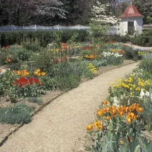 Mount Vernon Spring Flower Garden Print Mount Vernon Spring Flower Garden Print