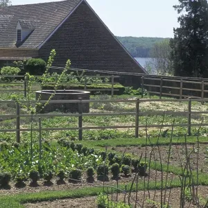 Mount Vernon vegetable garden Mount Vernon vegetable garden