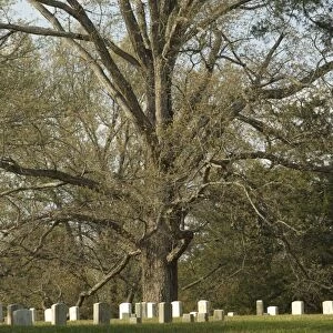 National Cemetery, Shiloh battlefield