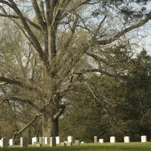 National Cemetery, Shiloh battlefield National Cemetery, Shiloh battlefield