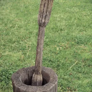 Native American corn grinding tools, Tennessee