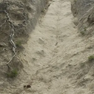 Oregon Trail in Wyoming