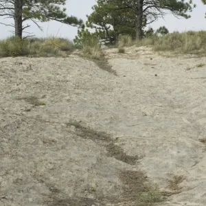 Oregon Trail in Wyoming