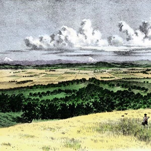 Oregon wheatfields, late 1800s