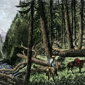 Pack train of traders in the Rocky Mountains