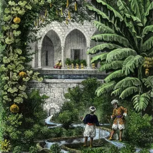 Palestinian garden, 1800s Palestinian garden, 1800s