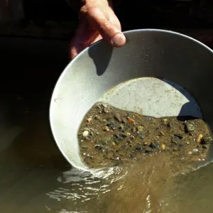 Panning for gold, California