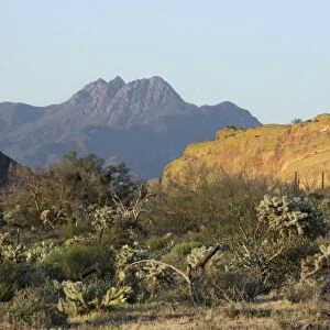 Four Peaks Wilderness in the mountains of central Arizona