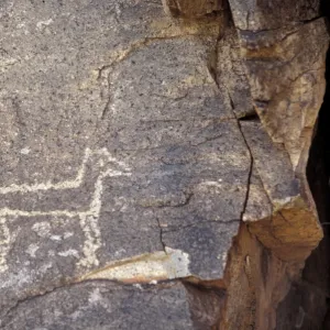 Petroglyph of a coyote or wolf, New Mexico