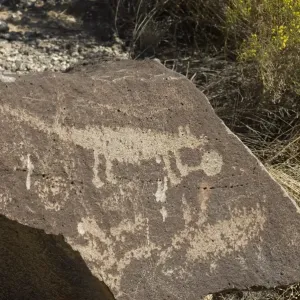Petroglyph near Albuquerque, New Mexico Petroglyph near Albuquerque, New Mexico