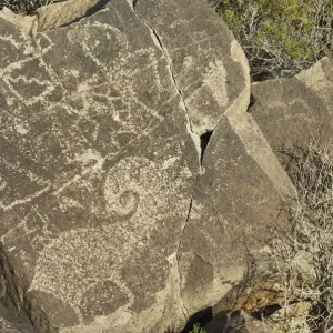 Petroglyphs of the Jornada-Mogollon culture, NM Petroglyphs of the Jornada-Mogollon culture, NM