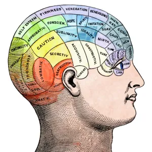 Phrenological model of personality traits