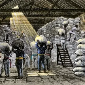 Sacks of coffee carried into a warehouse in Brazil Sacks of coffee carried into a warehouse in Brazil
