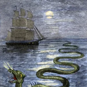 Serpiente marina de Hans Egidius. Serpiente marina de Hans Egidius.