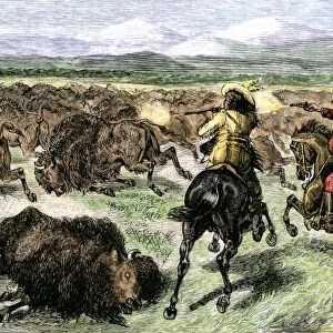 Shooting bison for sport, 1880s