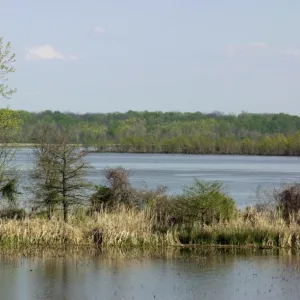 Site of Arkansas Post on the Arkansas River