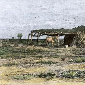 Sod barn of a prairie homestead