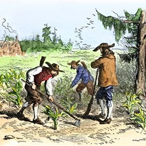 South Carolina colonists planting crops