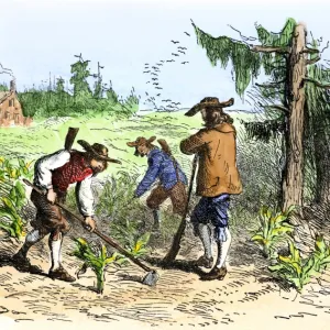 South Carolina colonists planting crops