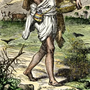 Sowing seed in ancient times