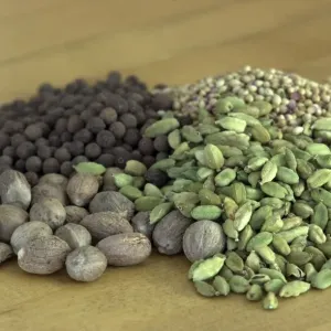 Nutmeg, Green Cardamom Pods, Coriander, and Allspice Print Nutmeg, Green Cardamom Pods, Coriander, and Allspice Print