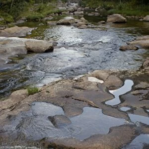 Stream in the White Mountains of New Hampshire and Maine