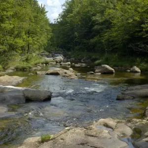 Stream in the White Mountains of New Hampshire and Maine Stream in the White Mountains of New Hampshire and Maine