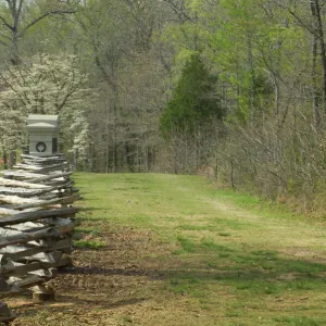 Sunken Road, Shiloh battlefield