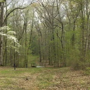 Sunken Road, Shiloh battlefield