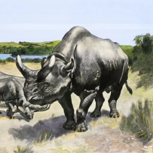 Titanothere, an extinct rhinocerus of North America