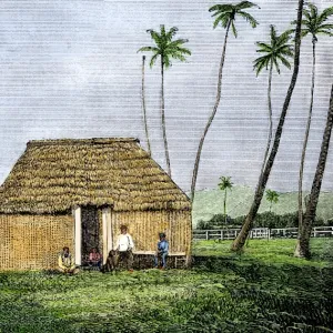 Traditional Hawaiian home, 1800s