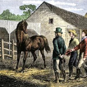 Training a young horse, 1800s