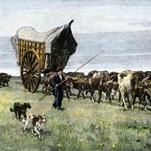Travel on the pampas of Argentina, 1800s