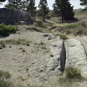Wagon tracks on the Oregon Trail, Wyoming