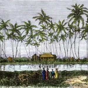 Waikiki village, Hawaii, 1870s