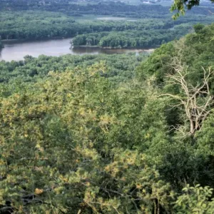 Wisconsin River near its Mississippi River junction Wisconsin River near its Mississippi River junction