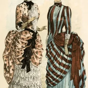 1880s Women's Dress Fashions Color Print 1880s Women's Dress Fashions Color Print