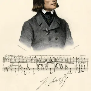 Young Franz Liszt