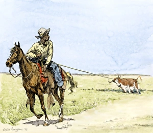 African-American cowboy pulling a longhorn out of the mud