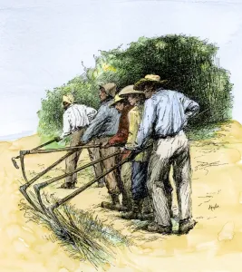 Louisiana Prints: African-American field hands hooking up sugar cane in Louisiana